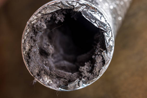 Best Affordable HVAC Duct Cleaning  in Tecumseh, MI