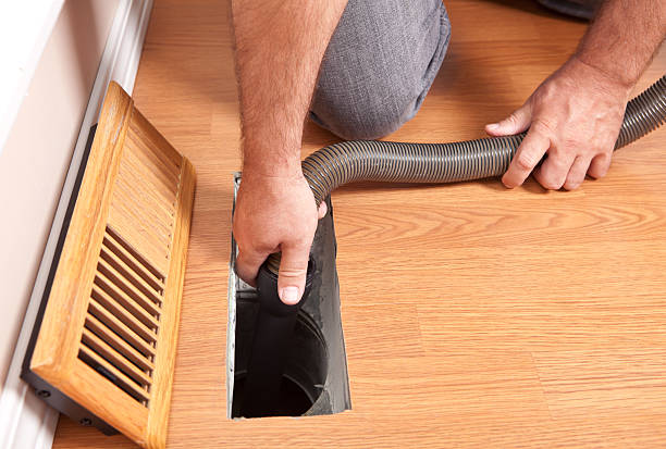 Best Professional Duct Cleaning Services  in Tecumseh, MI