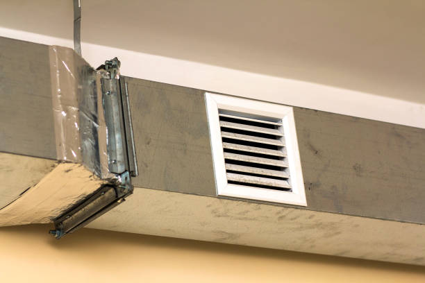 Best Affordable Duct Cleaning Services  in Tecumseh, MI
